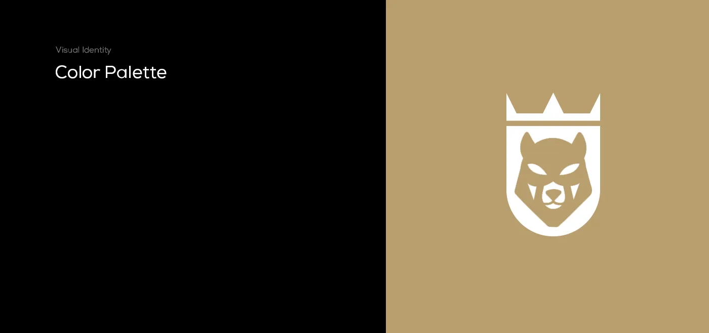 Project Gallery Image