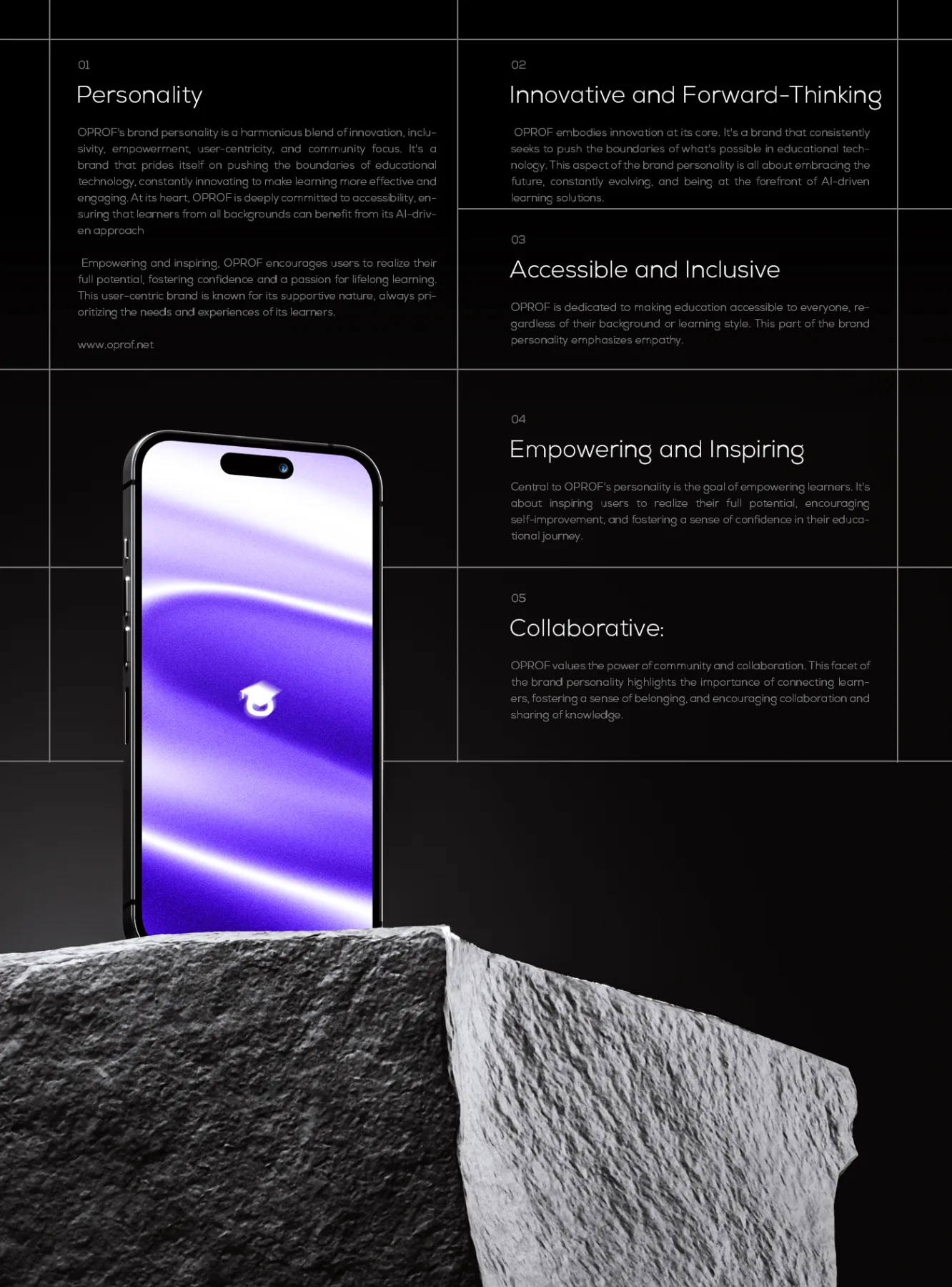 Project Gallery Image