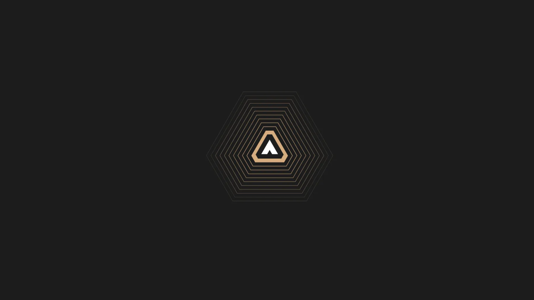 Project Gallery Image