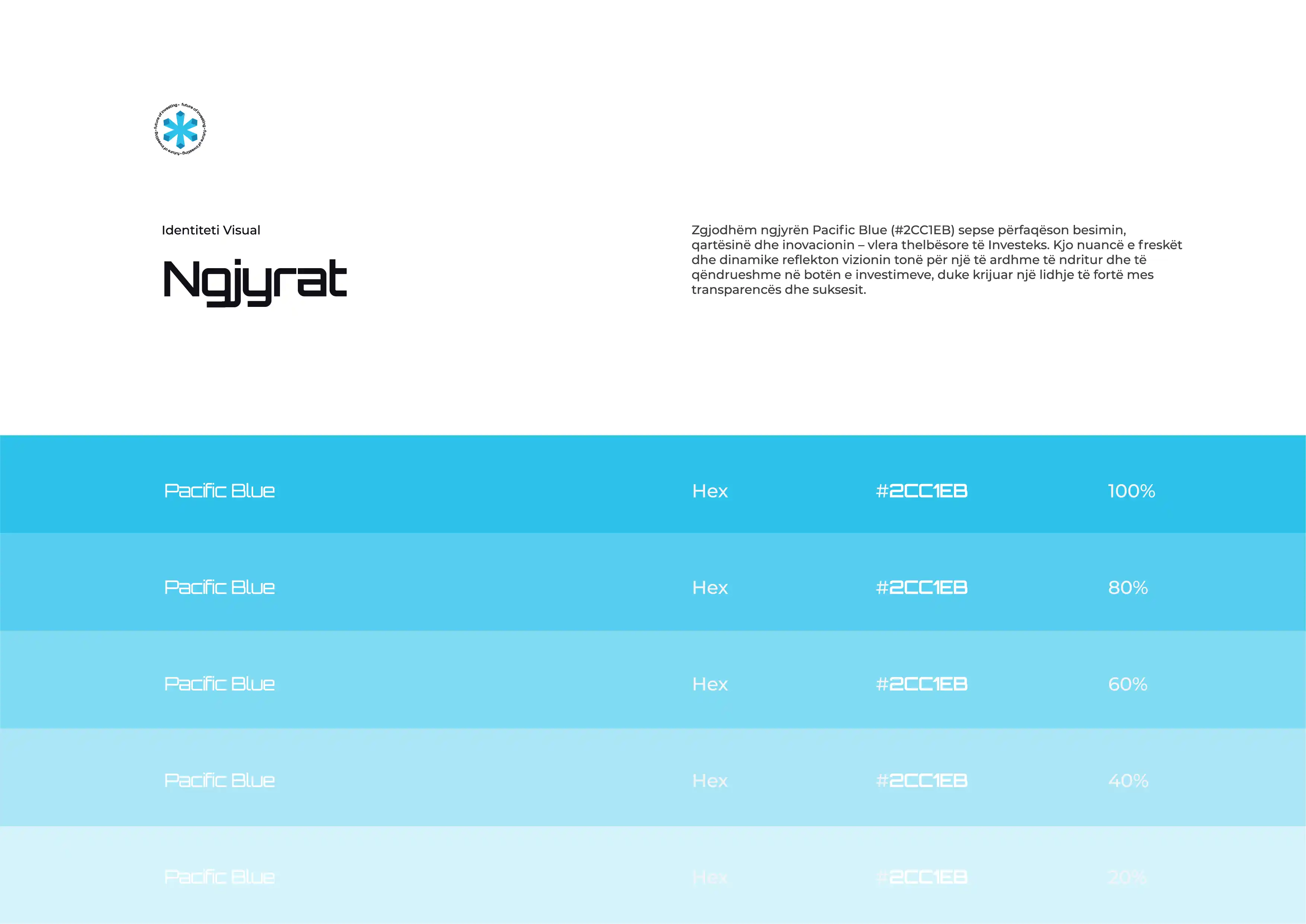 Project Gallery Image