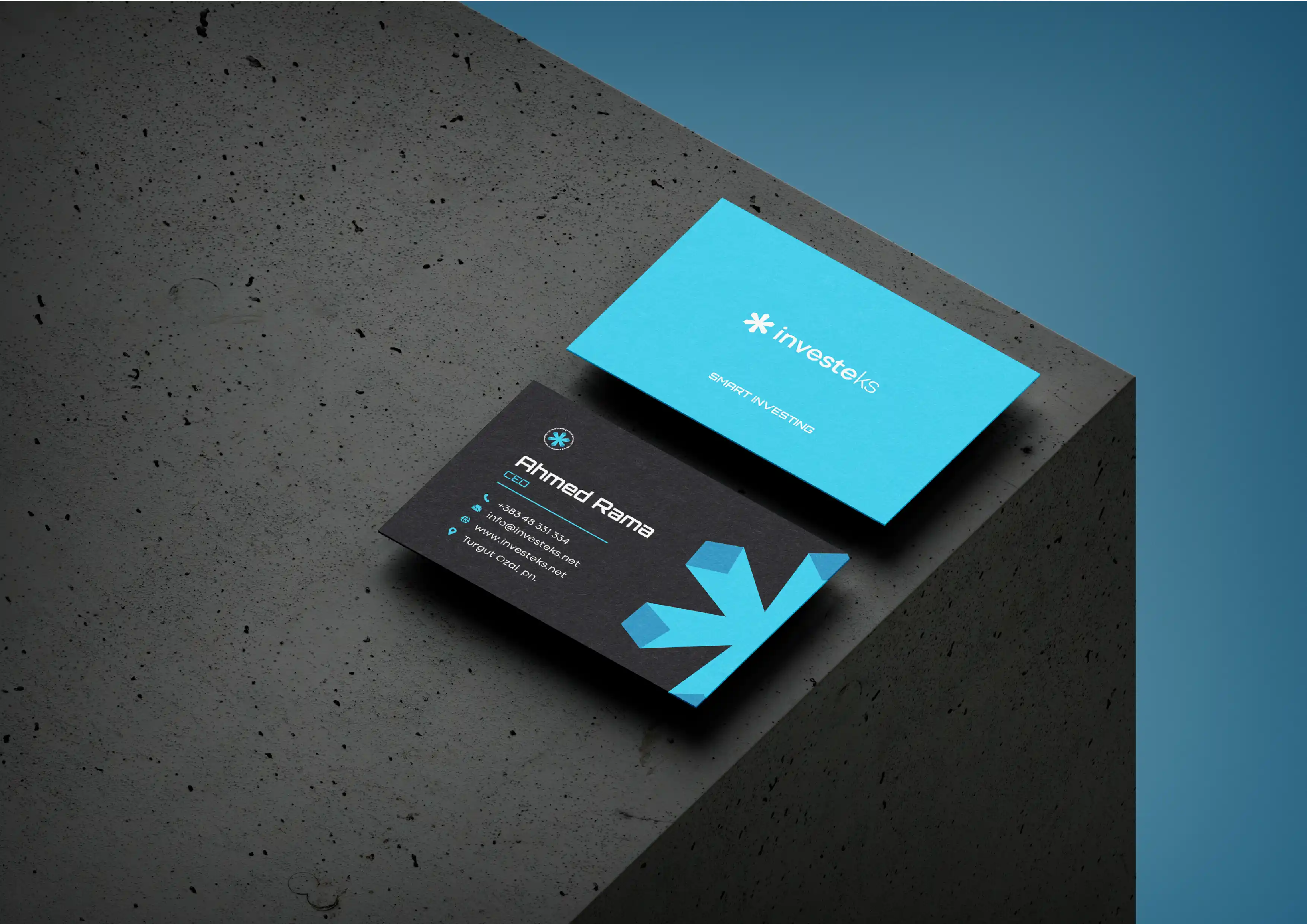 Project Gallery Image
