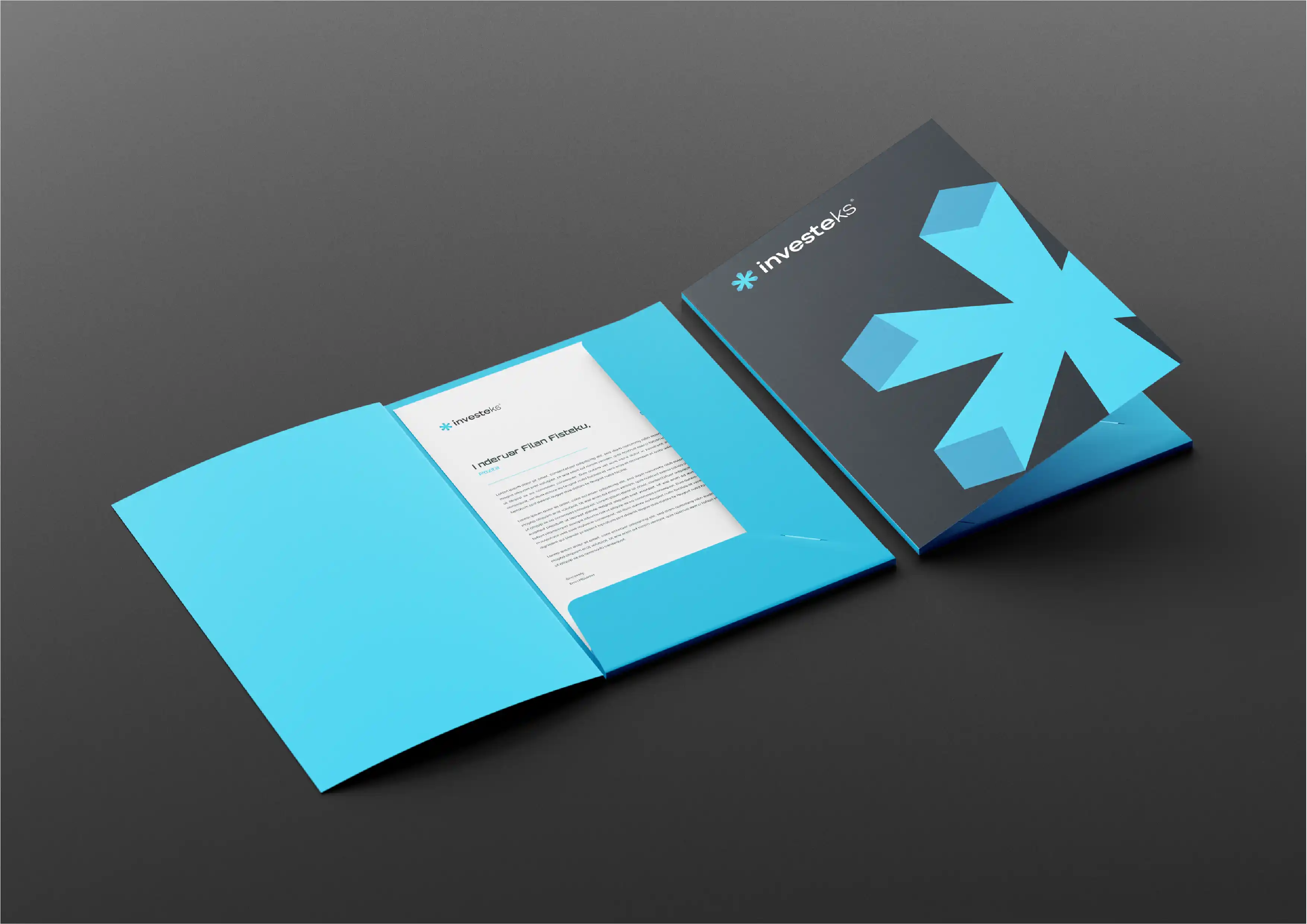Project Gallery Image