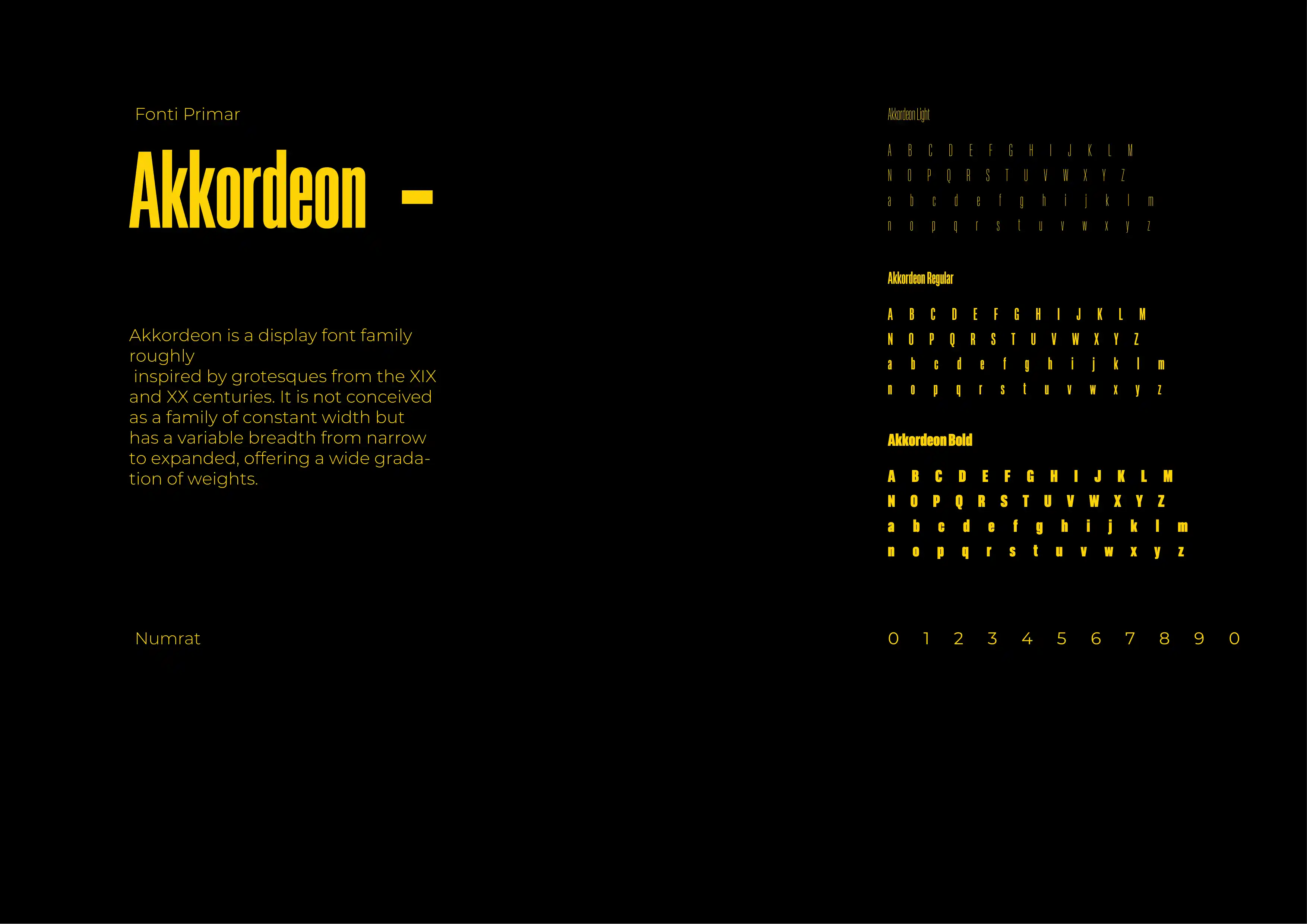 Project Gallery Image