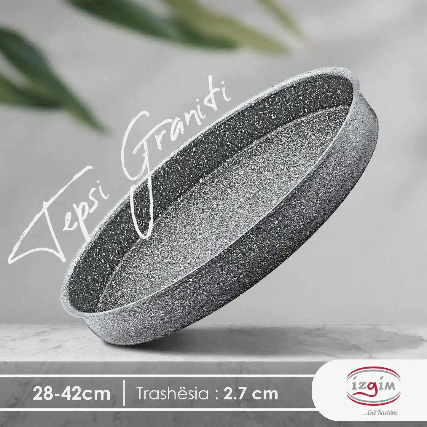 Project Gallery Image