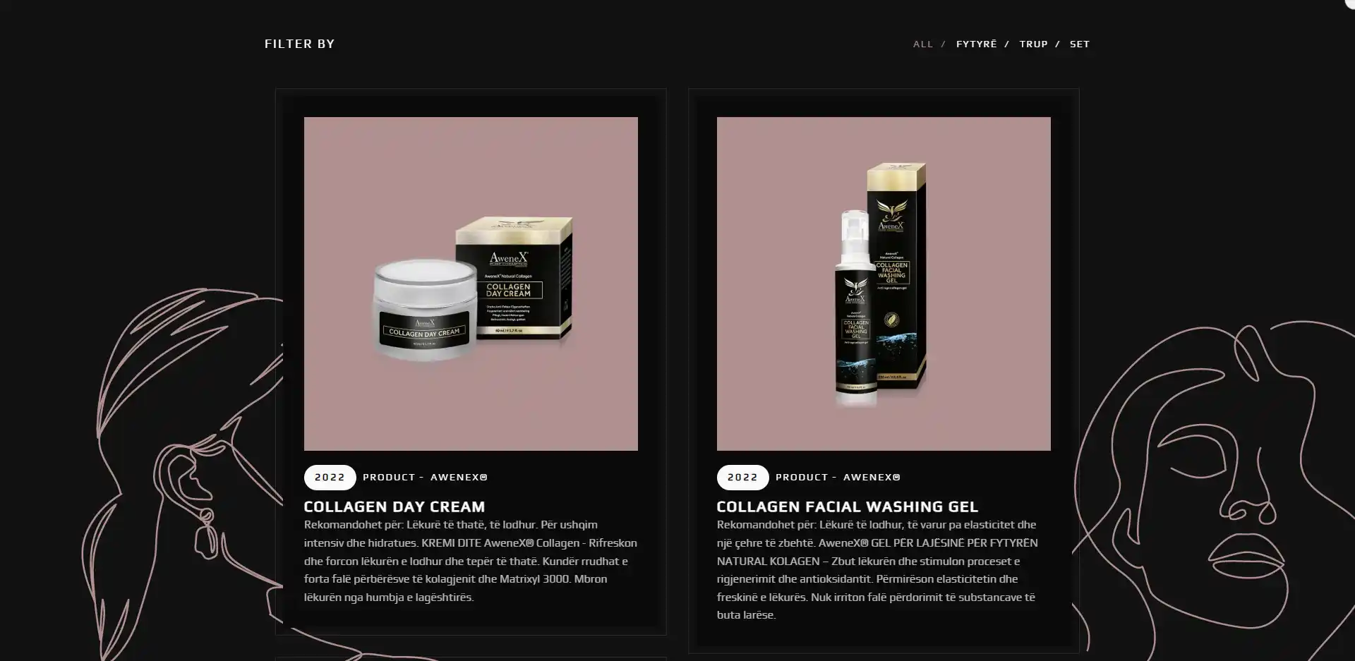 Project Gallery Image
