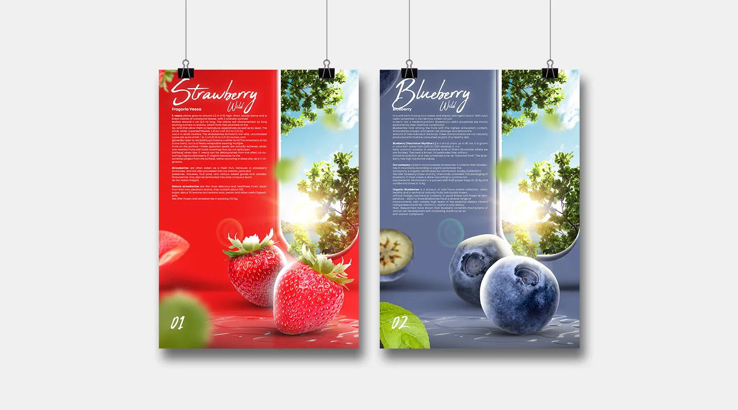 Project Gallery Image